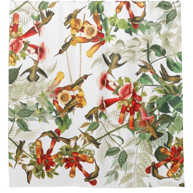 Kolibri-Vogel-Blumen Audubon Duschvorhang (Vorderseite)