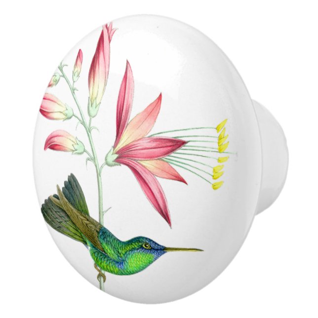 Kolibri-Vogel-Blumen-Blumengarten-Griff Keramikknauf (Rechts)