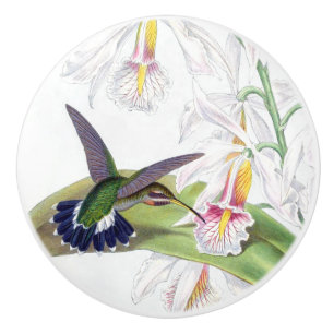 Kolibri-Vogel-Blumen-Blumengarten-Griff Keramikknauf