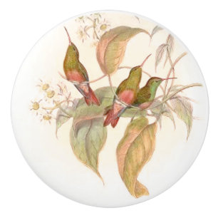 Kolibri-Vogel-Blumen-Blumengarten-Griff Keramikknauf