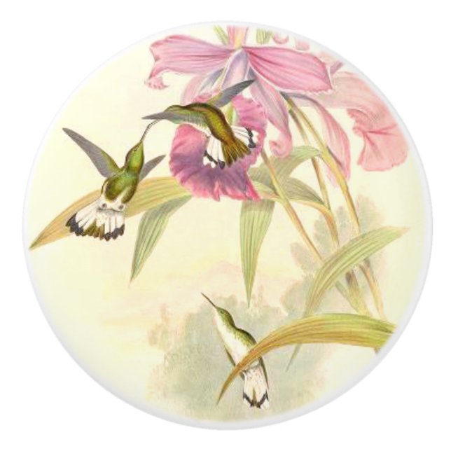 Kolibri-Vogel-Blumen-Blumengarten-Griff Keramikknauf (Vorderseite)