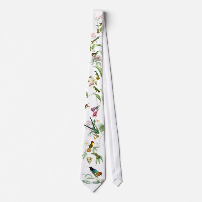 Kolibri-Vogel-Blumen-Blumentier-Tiere Krawatte (Vorderseite)