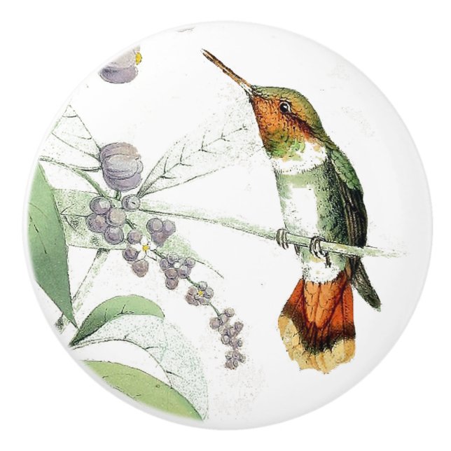 Kolibri-Vogel-Blumen-Tier-Tierzug/Griff Keramikknauf (Vorderseite)
