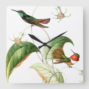 Kolibri-Vogel-BlumenBlumen-Wand-Uhr Quadratische Wanduhr