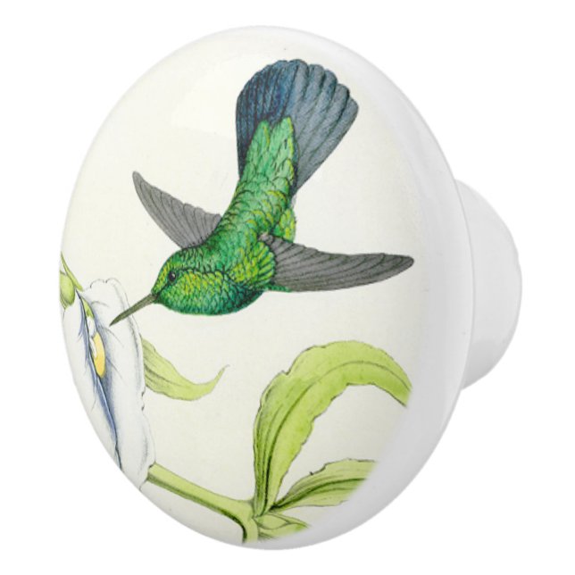 Kolibri-Vogel-Orchideen-Blumen-Blumengarten-Griff Keramikknauf (Rechts)