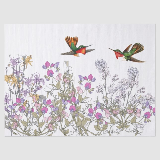 Kolibri-Vogel-süße Erbsen-Blumen-Seidenpapier Seidenpapier (Vorderseite)