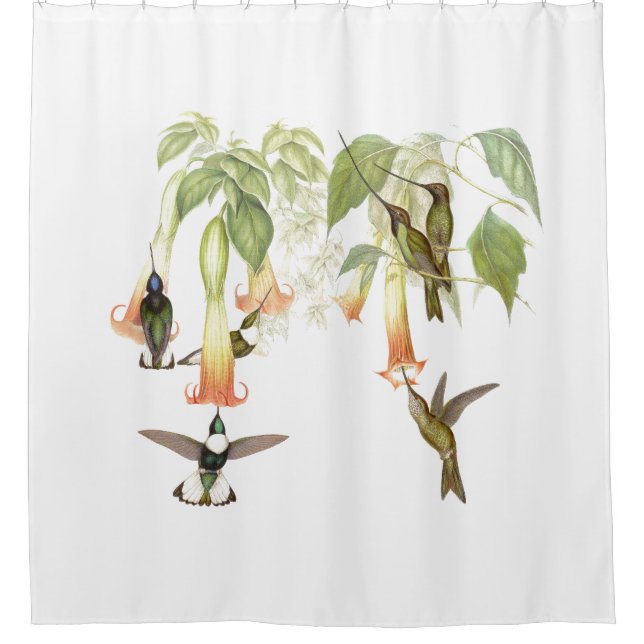 Kolibri-Vogel-Tier-Blumen-Blumengarten Duschvorhang (Vorderseite)