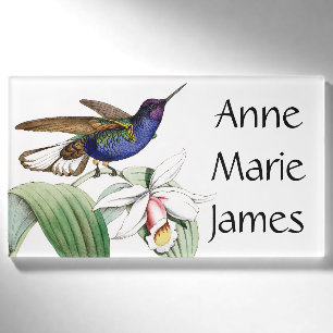 Kolibri-Vogel-Tier-Blumen-Namensumbau Namenschild