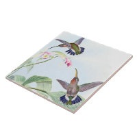 Kolibri-Vogel-Tier-Tier-Blumen-Fliese