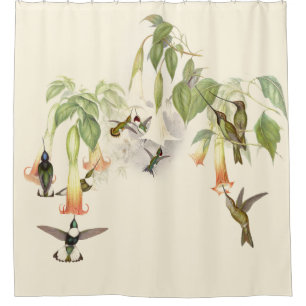 Kolibri-Vogel-Tier-Tier-Blumen mit Blumen Duschvorhang