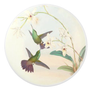 Kolibri-Vogel-Tier-Tier-Blumengriff Keramikknauf