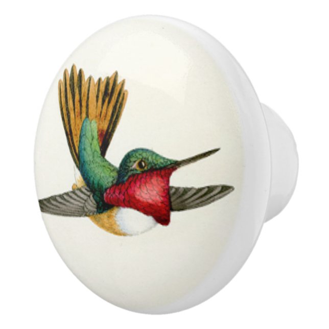Kolibri-Vogel-Tier-Tier-Griff Keramikknauf (Rechts)