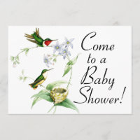 Kolibri-Vögel u. Nest-Babyparty-Einladung