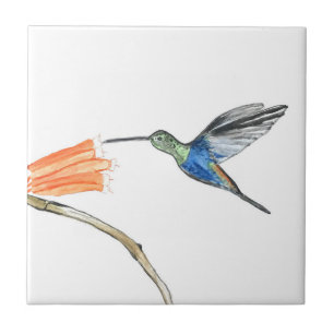 Kolibri Vogel Wildlife Aquarell Bunt Fliese