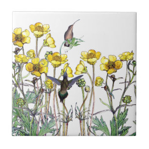Kolibri-Vögelranunculus-Blumen-Fliese Fliese