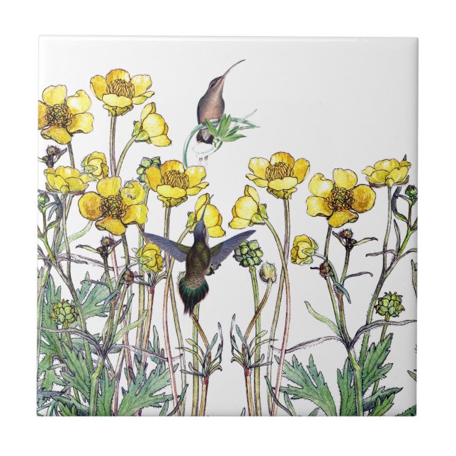 Kolibri-Vögelranunculus-Blumen-Fliese Fliese (Vorderseite)