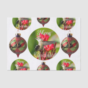 Kolibri-Weihnachtstissuepapier Seidenpapier