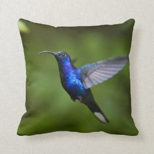 KOLIBRI-WURFS-KISSEN KISSEN