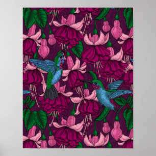 Kolibrigarten Poster