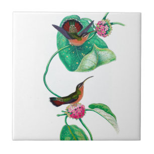 Kolibriliebe Fliese
