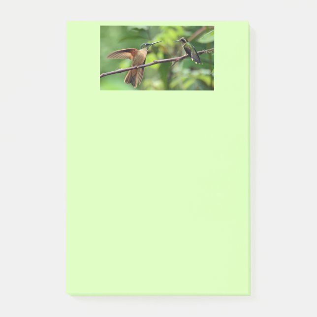 Kolibripost-itanmerkungen Post-it Klebezettel (Vorderseite)