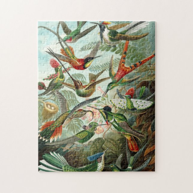 Kolibris (Vertikal)