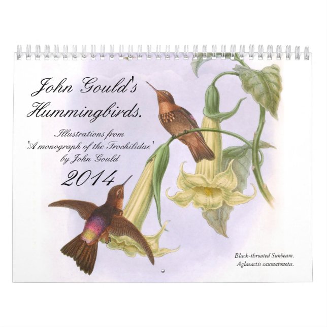 Kolibris 2014 Johns Goulds Kalender (Titelbild)