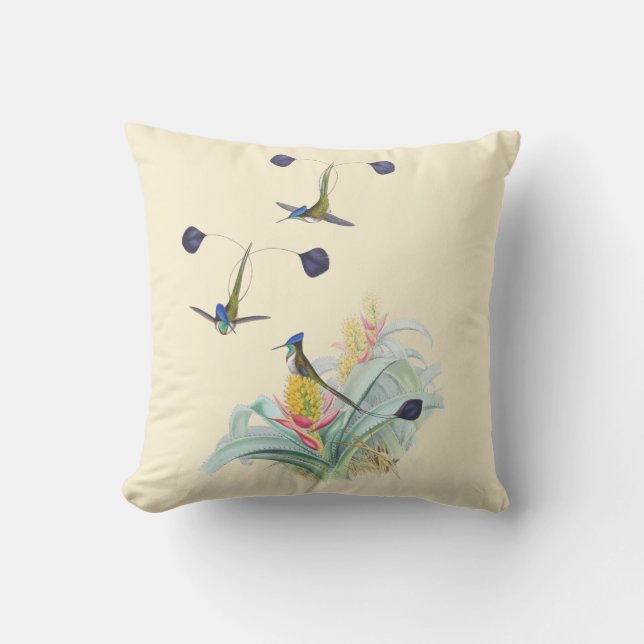 Kolibris auf Bromeliads Kissen im Freien16x16 (Vorderseite)