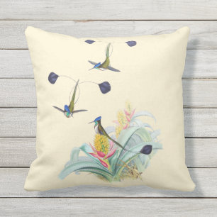 Kolibris auf Bromeliads Kissen im Freien16x16