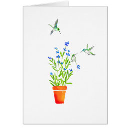 Kolibris auf Lavendel