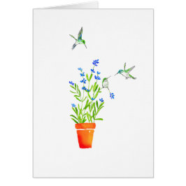 Kolibris auf Lavendel