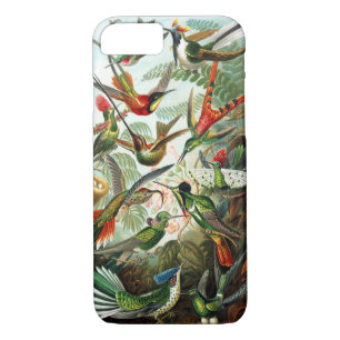 Kolibris durch Ernst Haeckel iPhone 8/7 Hülle