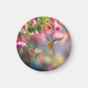 Kolibris Fuchsienblüten Schimmernder Glanz Magnet