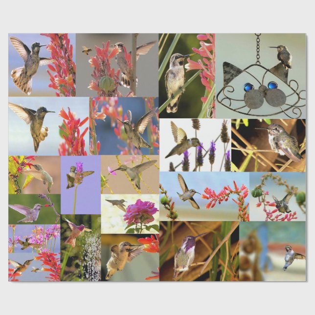 Kolibris Geschenkpapier (Flach)