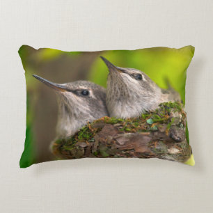 Kolibris im Babyalter Zierkissen