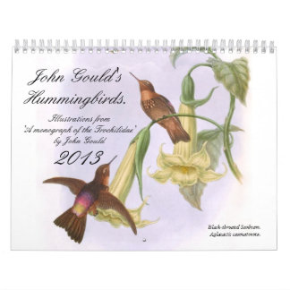 Kolibris Johns Goulds Kalender