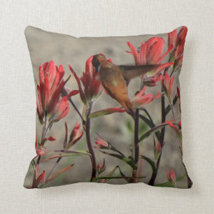 Kolibris Kardinal flog. Kissen