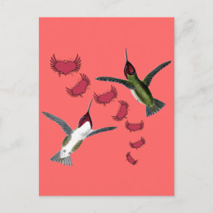 Kolibris Launige Herzen mit Flügeln Postkarte