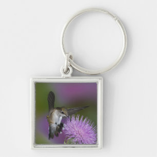 Kolibris mit Ruby-Kehle im Flug am Dickicht Schlüsselanhänger