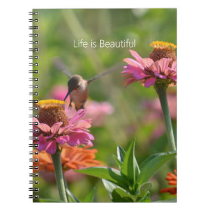 Kolibris Pinke Zinnien Blumen (meine Fotografie) Notizblock