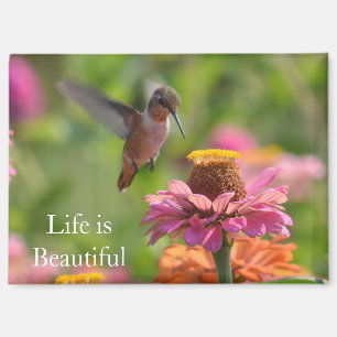 Kolibris Rosa Zinnienblumen (Foto von mir) Magnet
