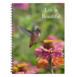 Kolibris Rosa Zinnienblumen (Foto von mir) Notizblock