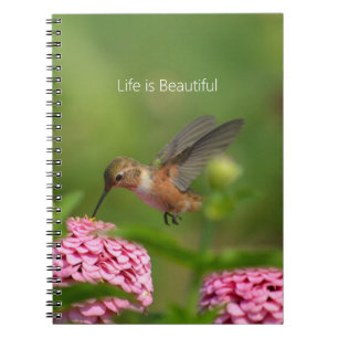 Kolibris Rosa Zinnienblüten (meine Fotografie) Notizblock