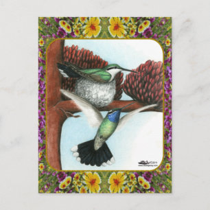 Kolibris und Blumen #3 Postkarte