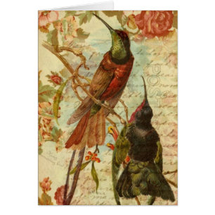 Kolibris und Rosen für jeden Anlass