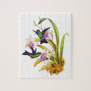 Kolibris und violette Orchideen