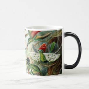 Kolibris Verwandlungstasse