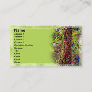 Kolibris Visitenkarte