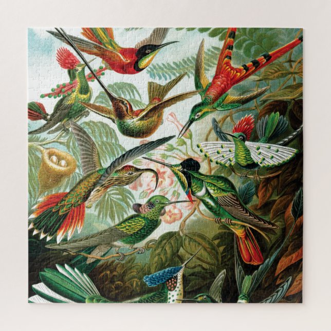 Kolibris von Ernst Haeckel (Vertikal)