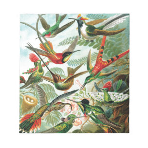 Kolibris von Ernst Haeckel Notizblock